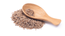 Psyllium